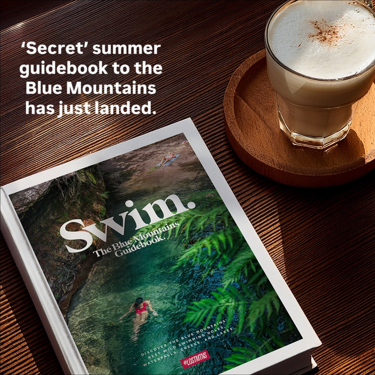 Introducing SWIM, the Blue... - Blue Mountains Explore | Facebook