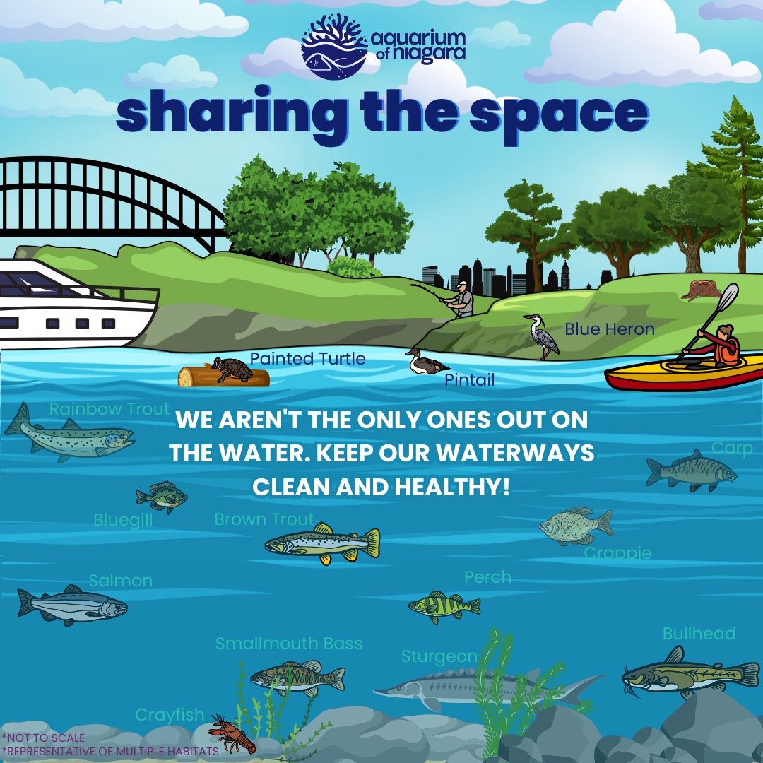 Aquarium - Rivers, tributaries, creeks, and other freshwater waterways ...