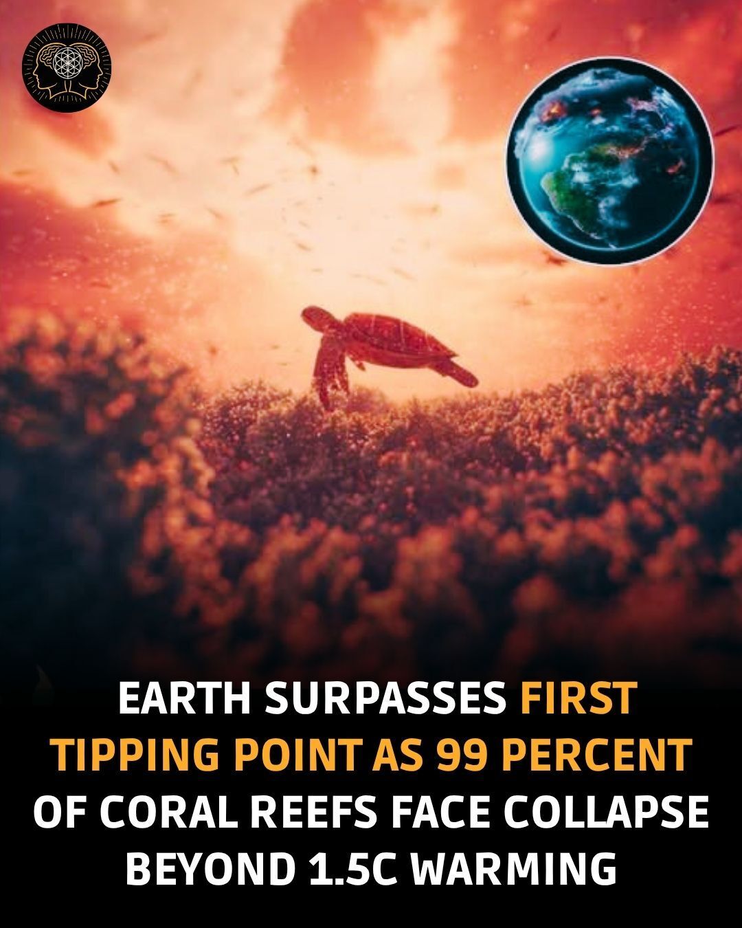 Mind - Heat rises, reefs fall, time’s running. The planet has crossed a ...