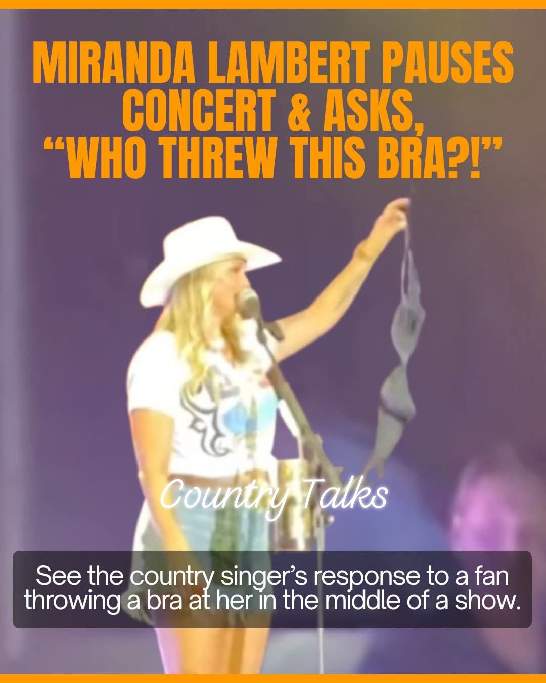 Country - Things took an unexpected turn at a New Mexico fair when a ...