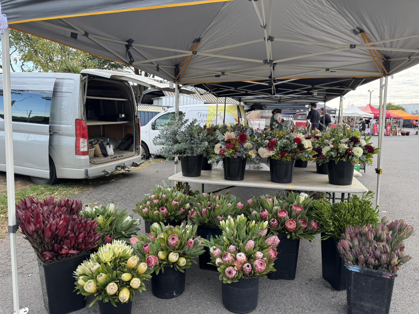 Allambee Flower Farm | Allambee Reserve VIC