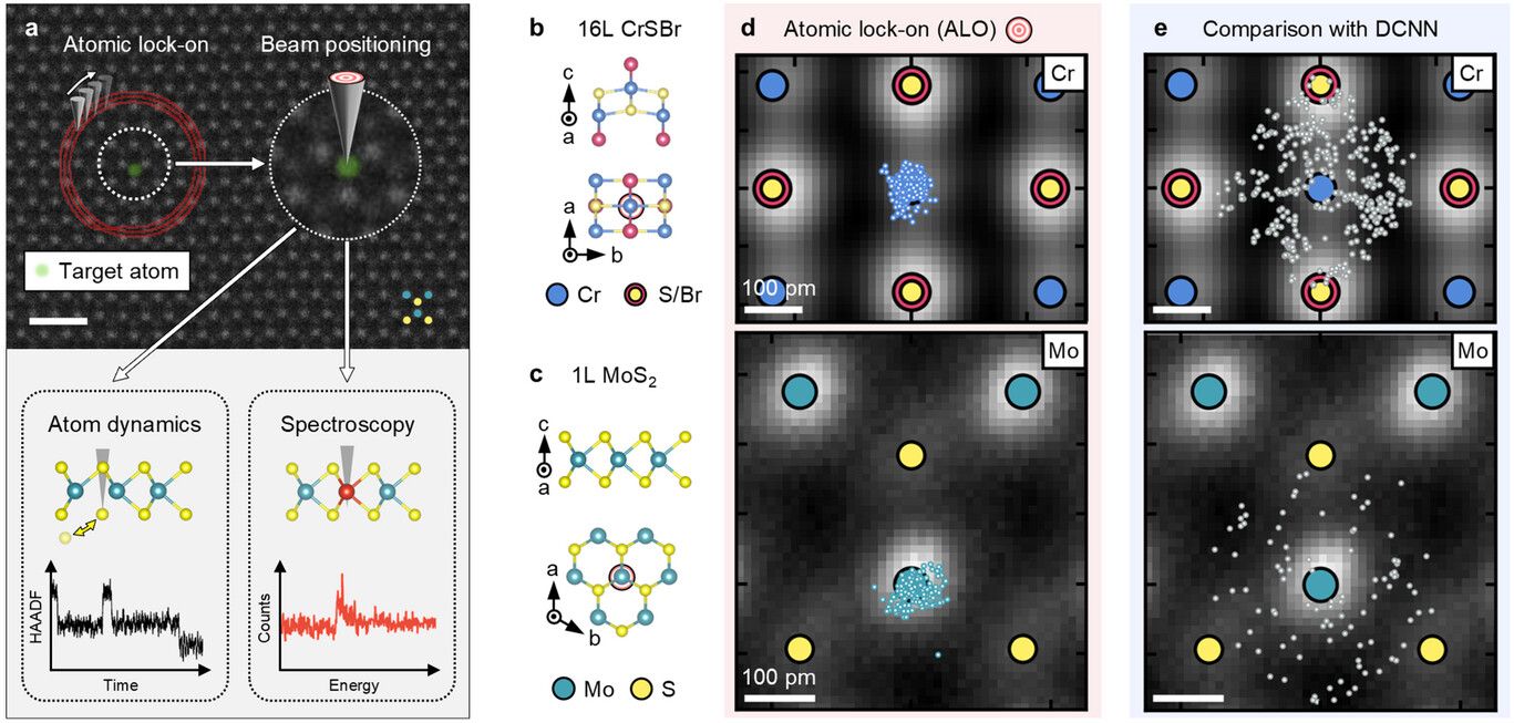 In a new Advanced Science Paper, Dr. Julian Klein, Prof. Frances Ross ...