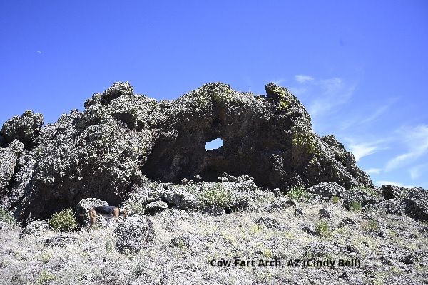 World Arch Database - Cow Fart Arch: Beef! It's what's for dinner ...