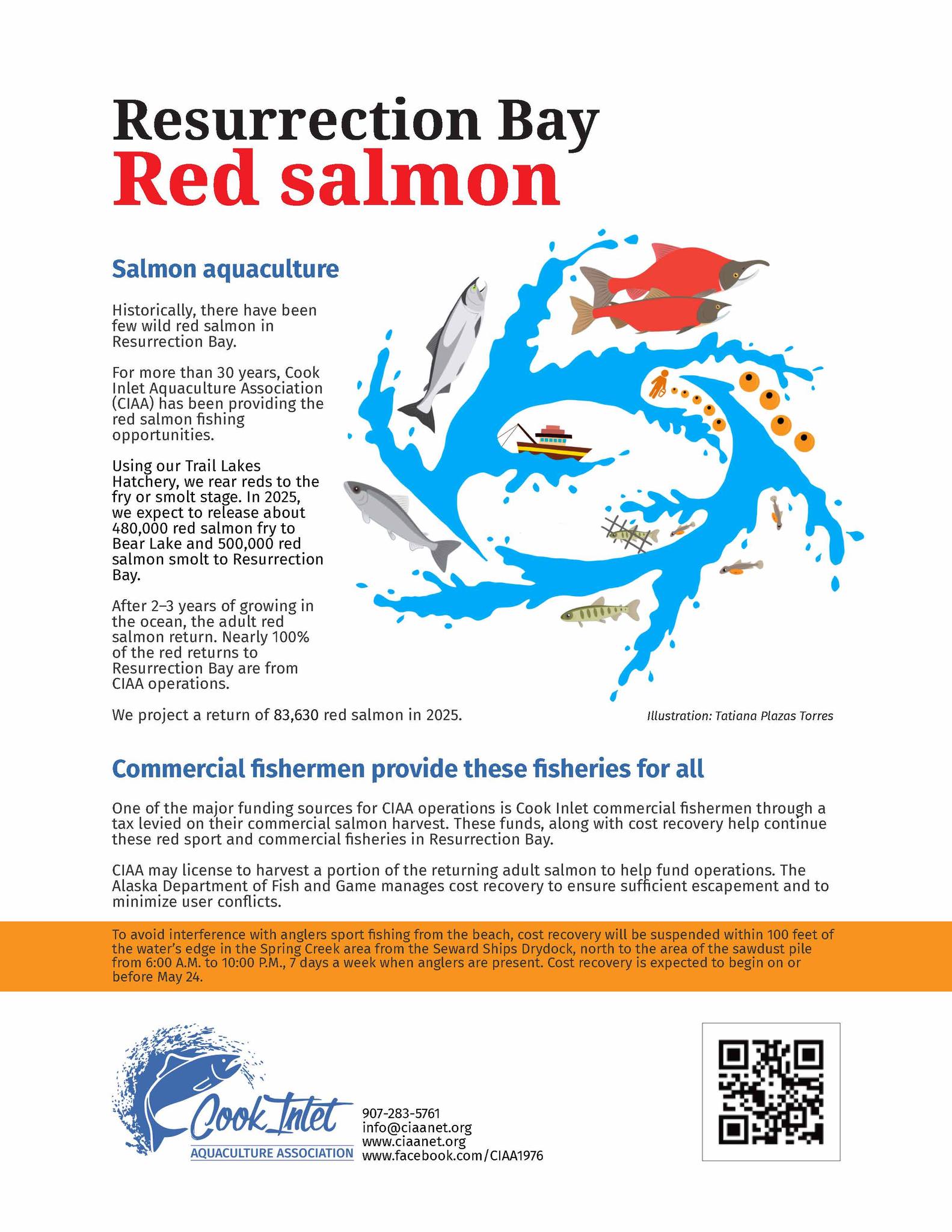 Cook - The reds are starting to show up in Resurrection Bay! Here is ...