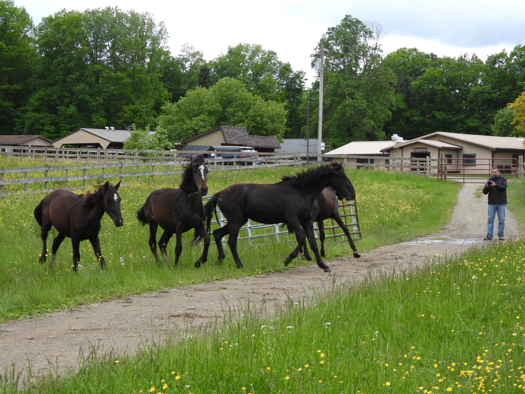 WLD Ranch | Girard PA