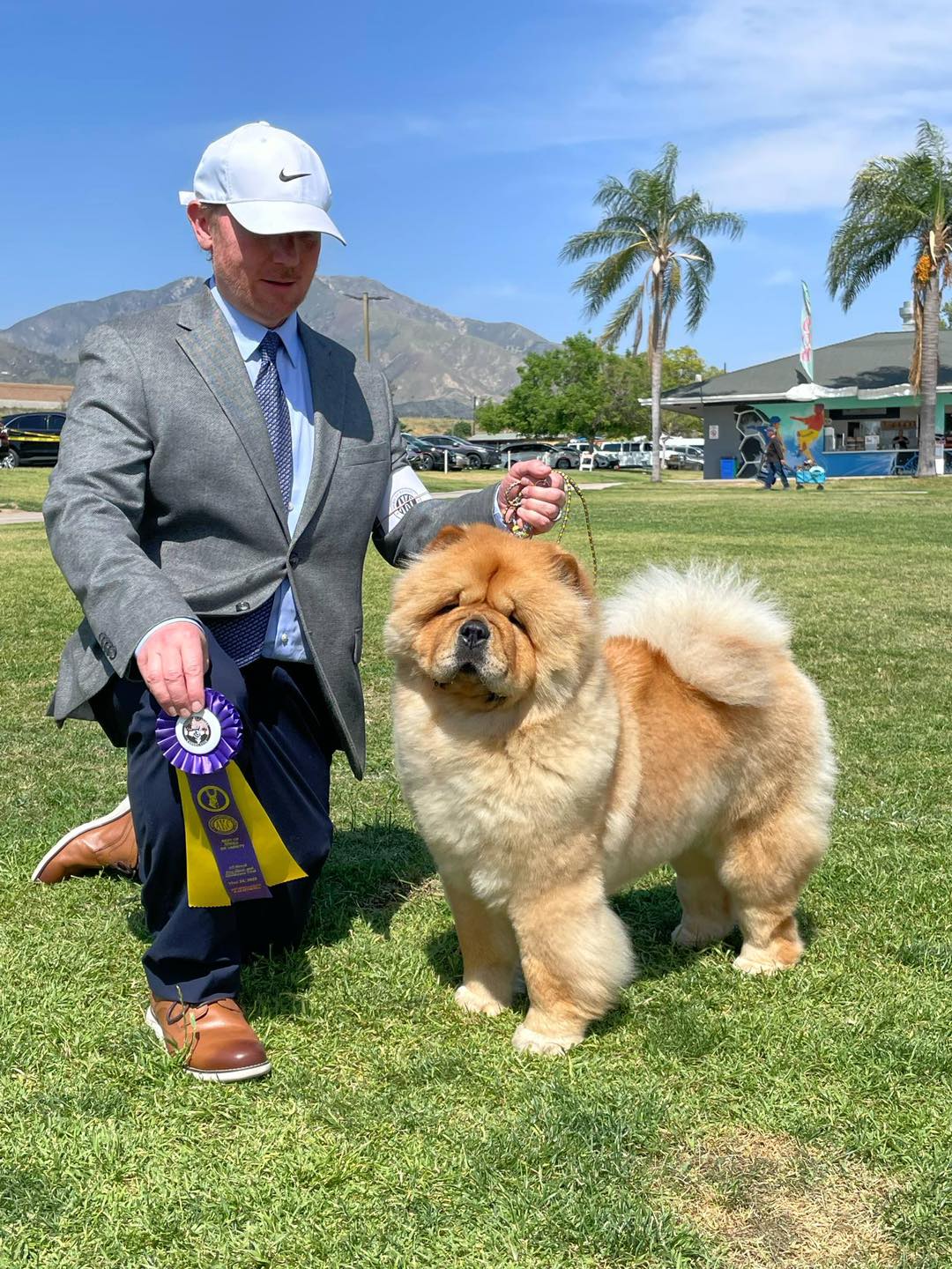 CHOW - Congratulations on Vixen’s Best In Specialty Win!! 🏆 🥳🤩💐 Chow ...