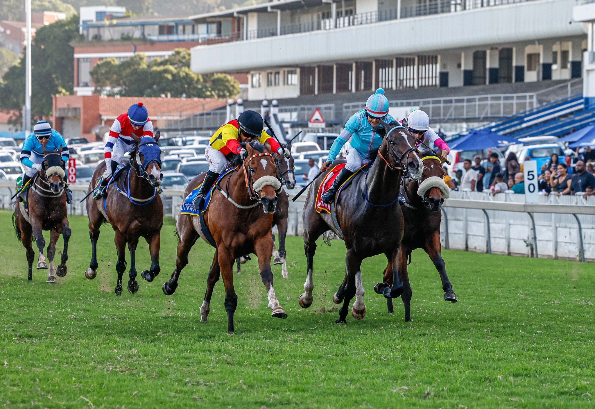 Gold Circle - Underworld (Querari) wins Race 7 for Snaith... | Facebook