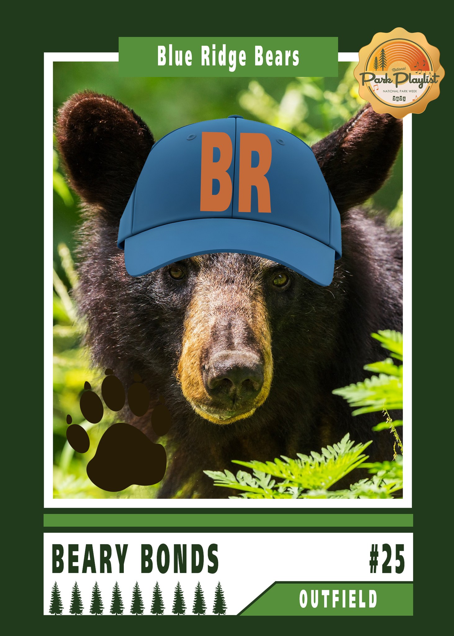 Blue - Bringing in the Parkway's MVP to close out #NationalParkWeek! ⚾ ...