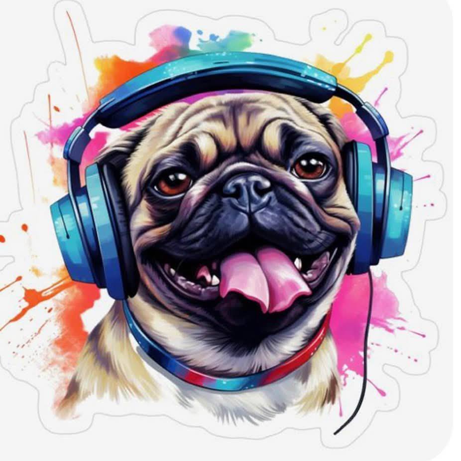 English bulldog for adoption and rehoming Networking 🏡🐾 | Meet Rambo ...