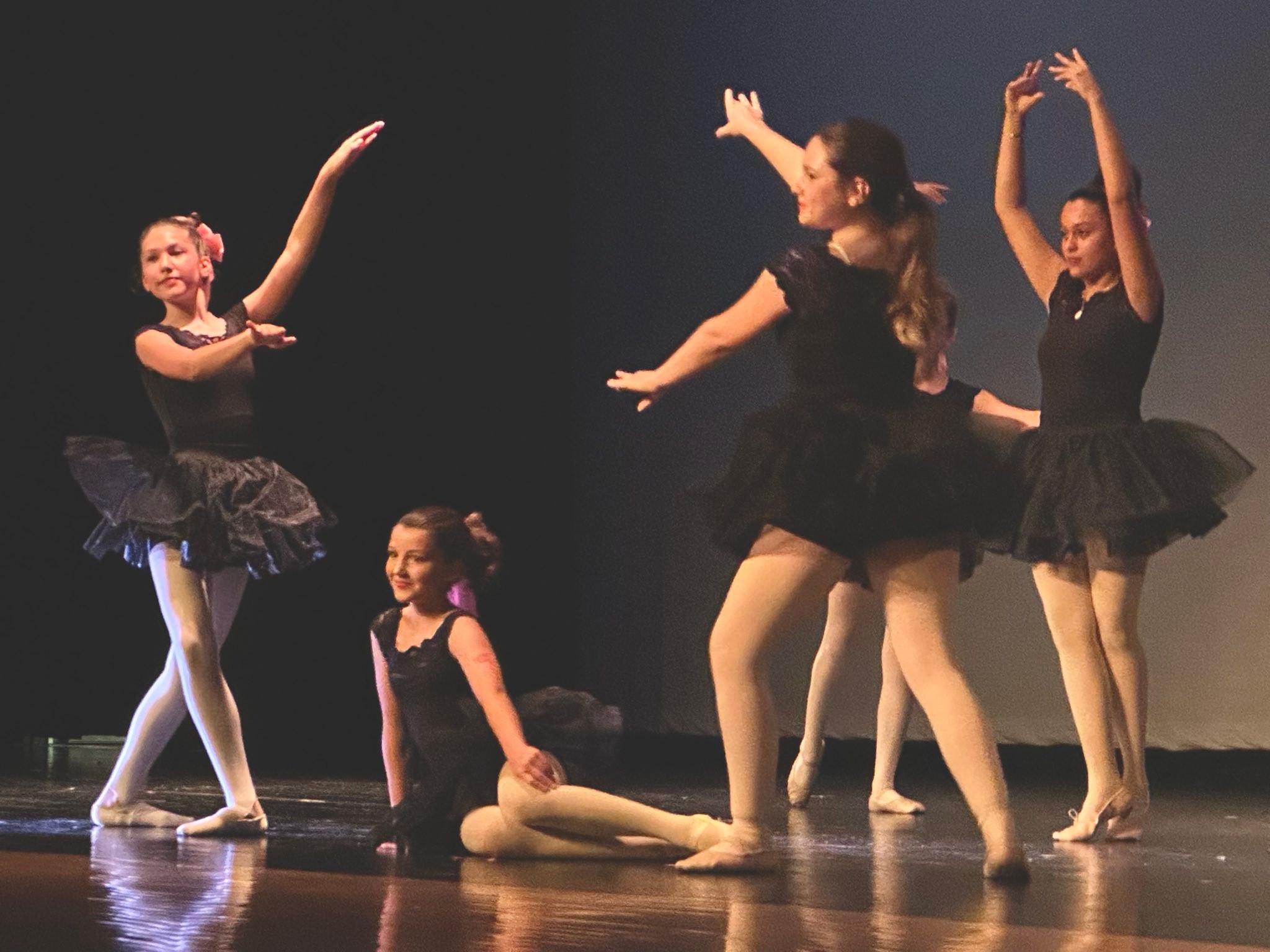 The Blue Ridge Studio for the Performing Arts | Berryville VA