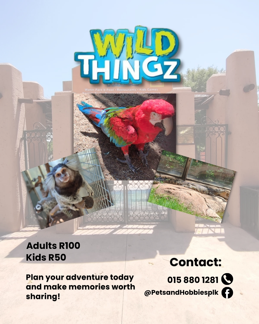 Pets - Get up close with incredible creatures at Wild Thingz, located ...