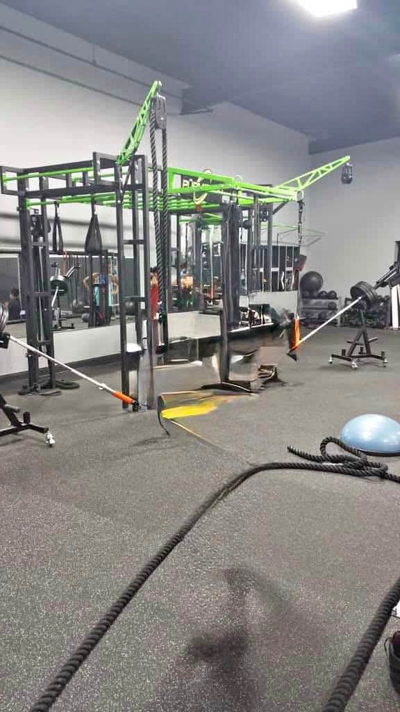 Purmotiin Function training - Weight Lifting Machines & Racks - Pelham ...