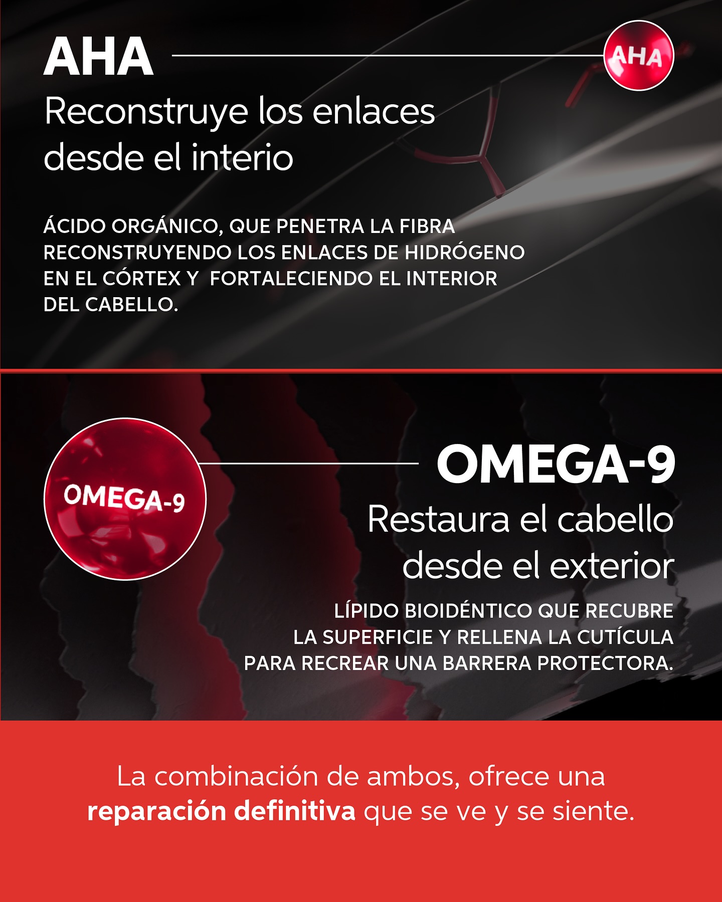 Ed Academy Latam