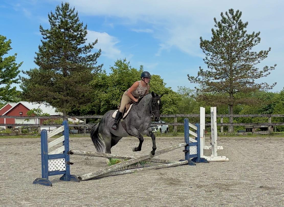 Triple R Horses - Triple R Horses added a new photo.