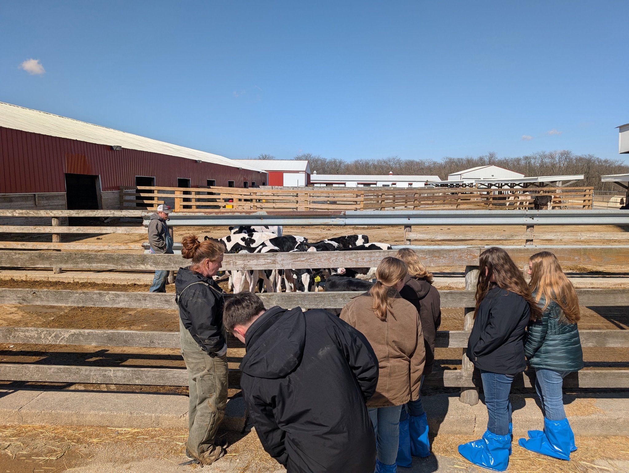 Indiana 4-H Dairy Youth... - Indiana 4-H Dairy Youth Academy