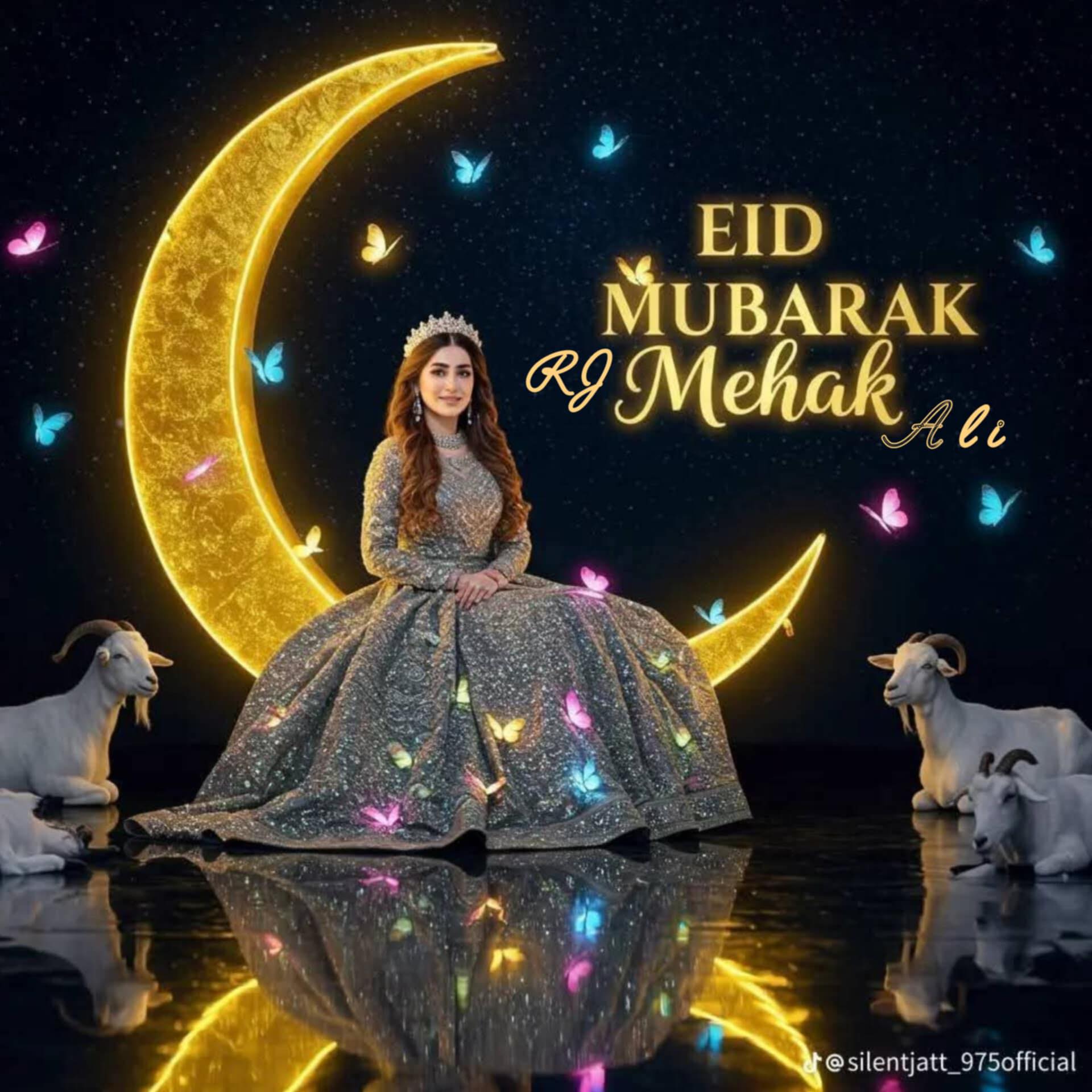 Rj Mehak Ali
