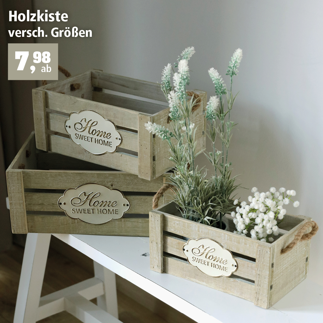 Unsere Deko Holzkisten eignen sich nicht nur zum Verstauen von diversen Utensilien, sondern auch zum Dekorieren oder Verschenken.🤗 Noch mehr Angebote findet Ihr in unserem Prospekt 👉 https://www.thomas-philipps.de/Prospekt #thomasphilipps