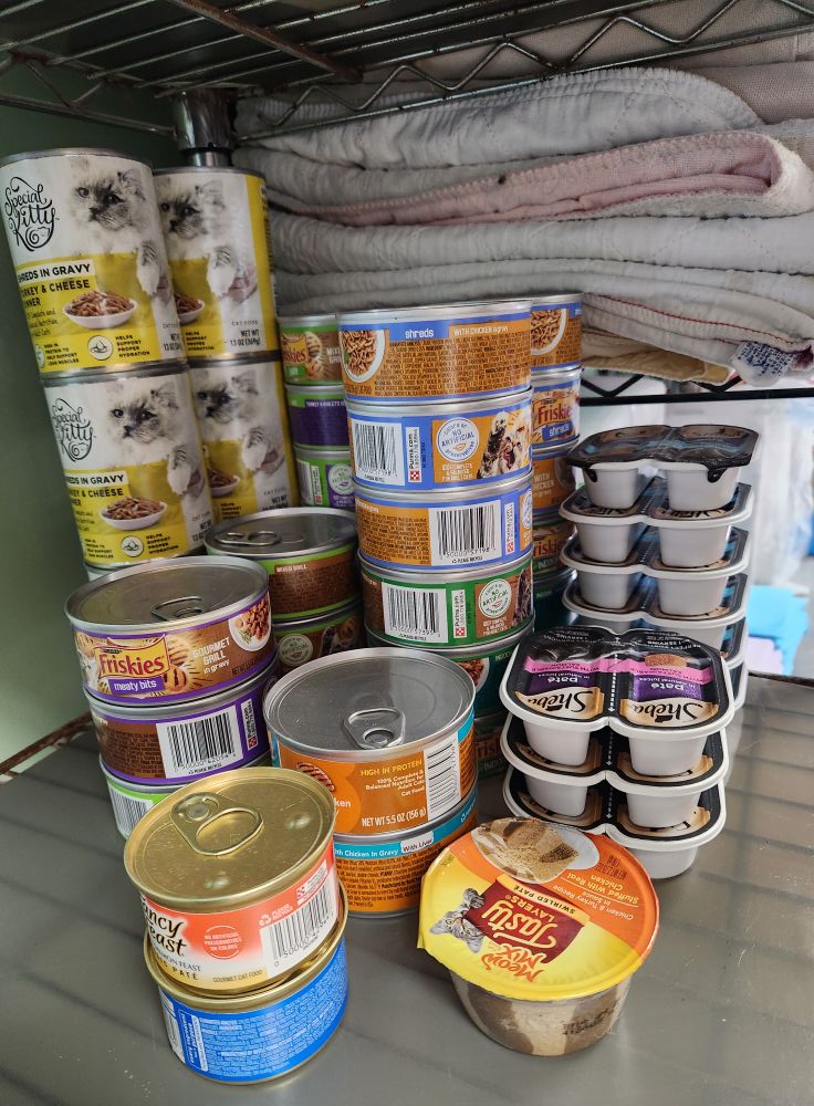 Care Humane Society needs food donations for 200 cats and dogs