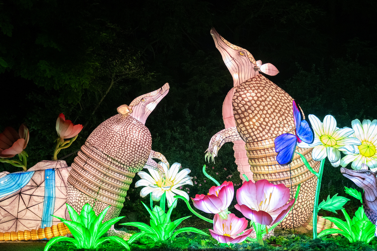 Take an illuminated journey through art, culture and imagination