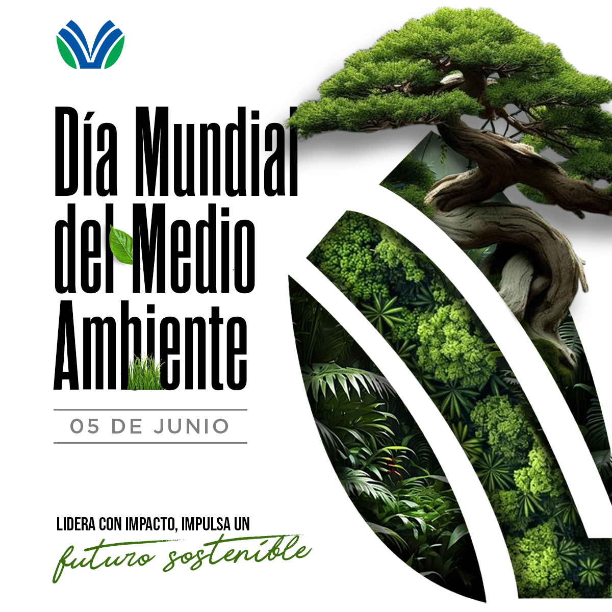 UNIVERSIDAD - 🌍 Hoy, 5 de junio, celebramos el Día Mundial del Medio ...