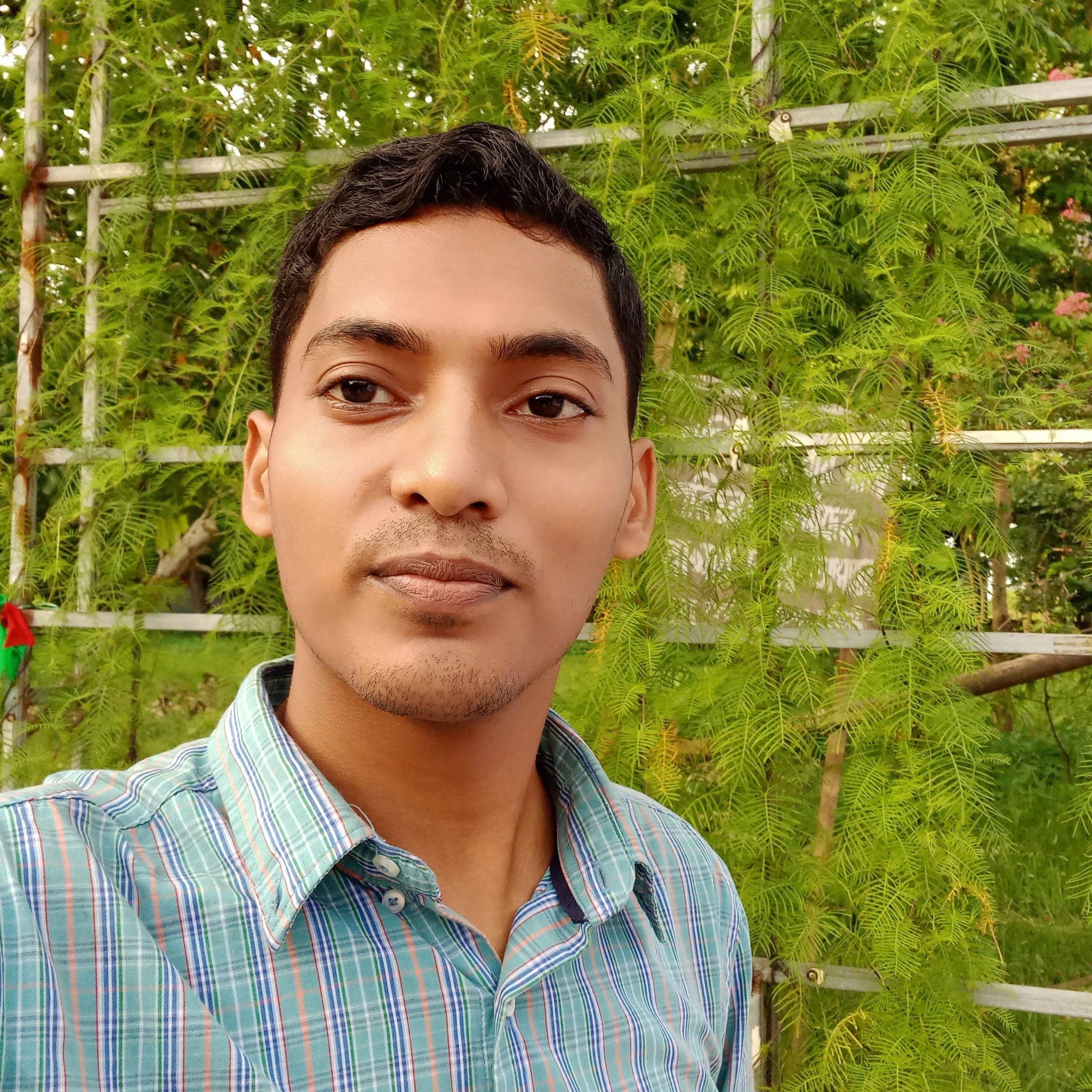 Miraj Ali