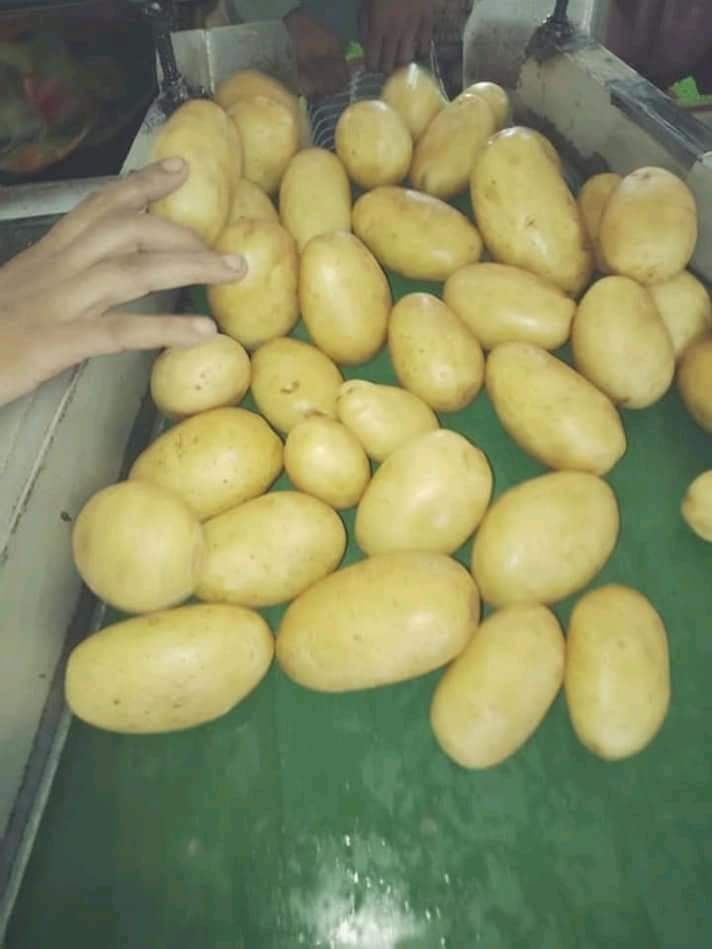 Zimal Enterprises | Karachi