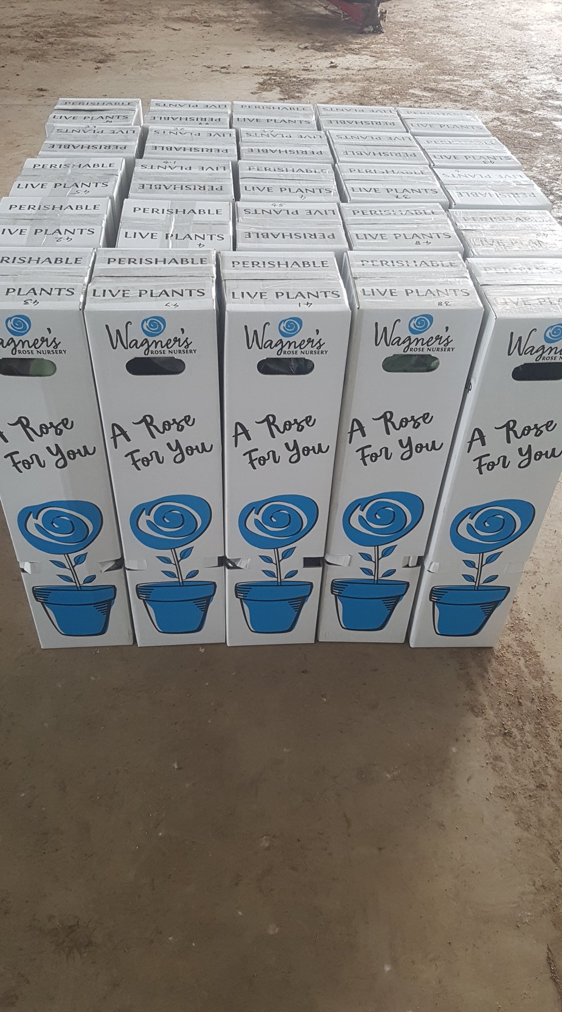 Orders for potted roses are now... - Wagner's Rose Nursery