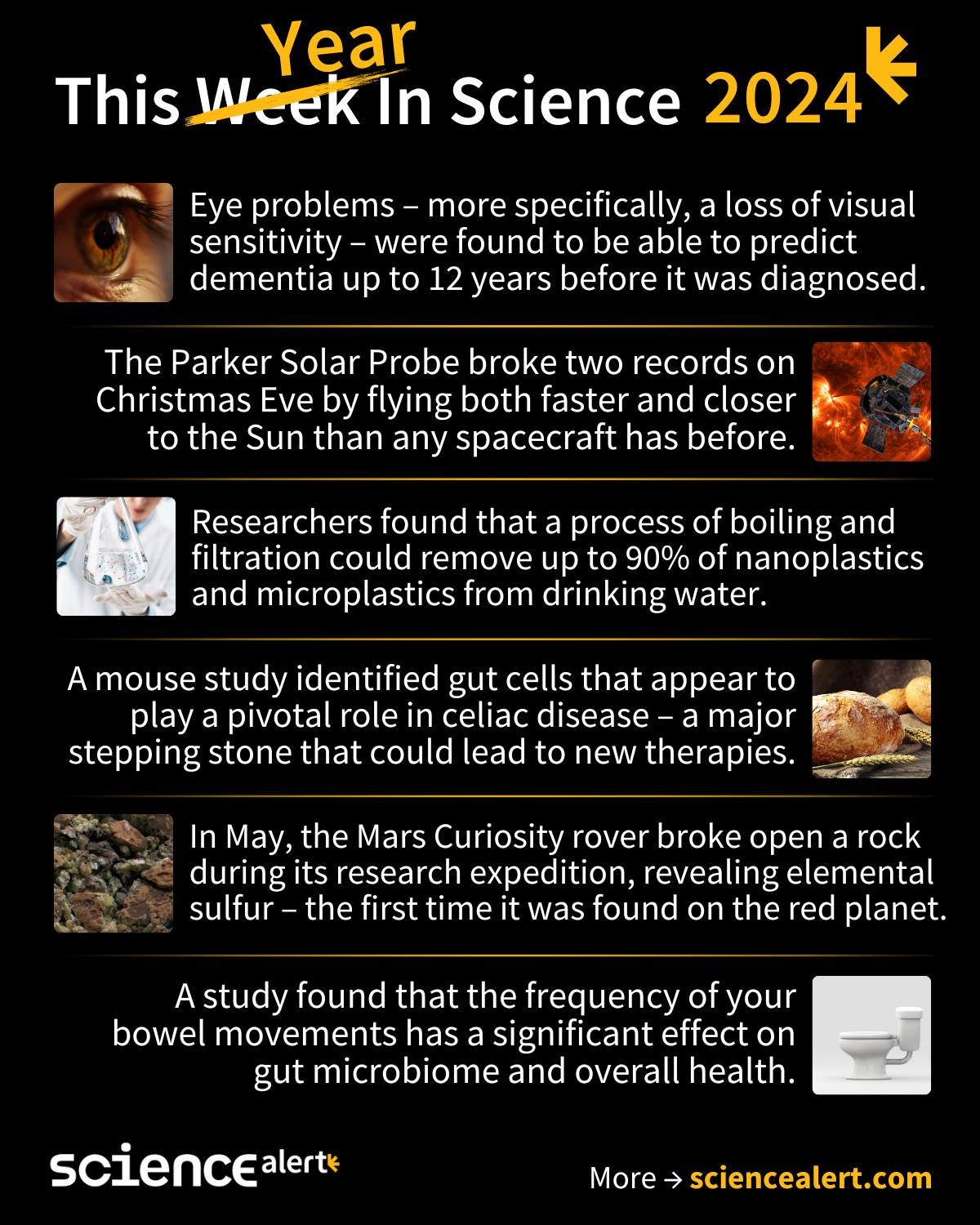 ScienceAlert - This Year in Science (2024) 🧪 2024 brought a lot of ...