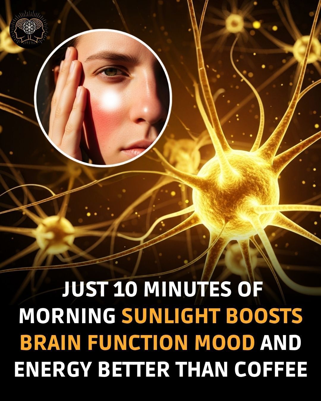 Mind - Sun hits, brain lifts, energy rises. You might want to swap your ...
