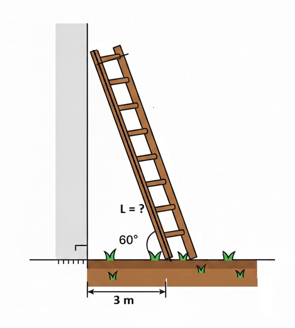 Algebra group | A ladder leaning against a wall, forming an angle of 60 ...