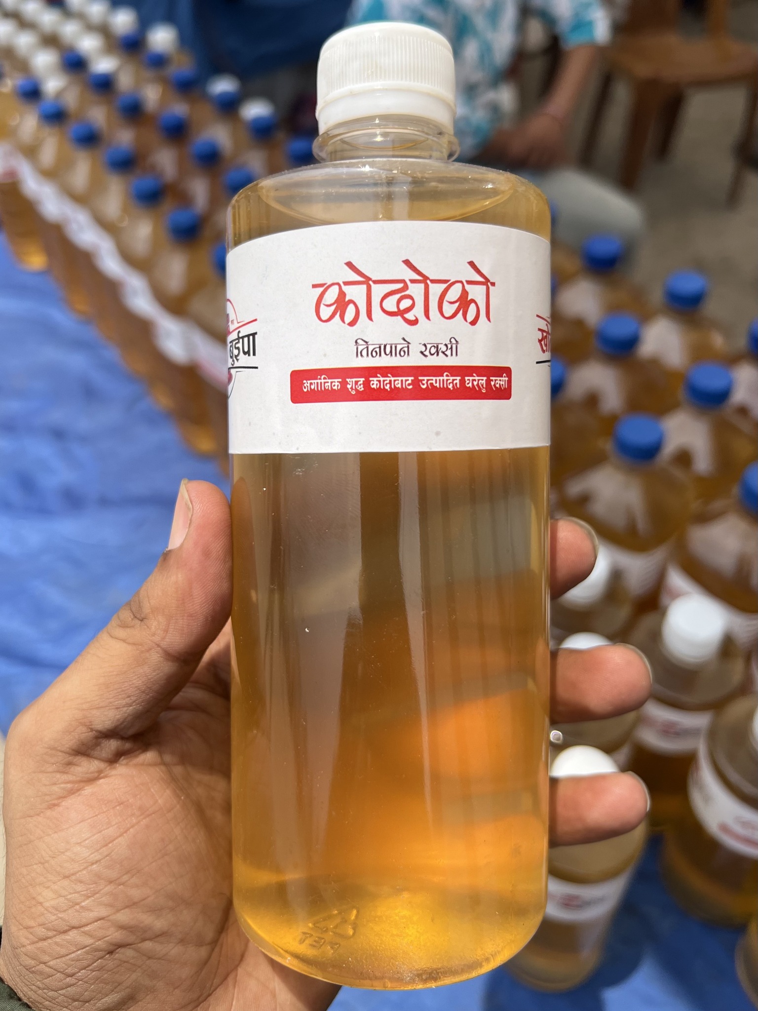 Ccva Pokhrel