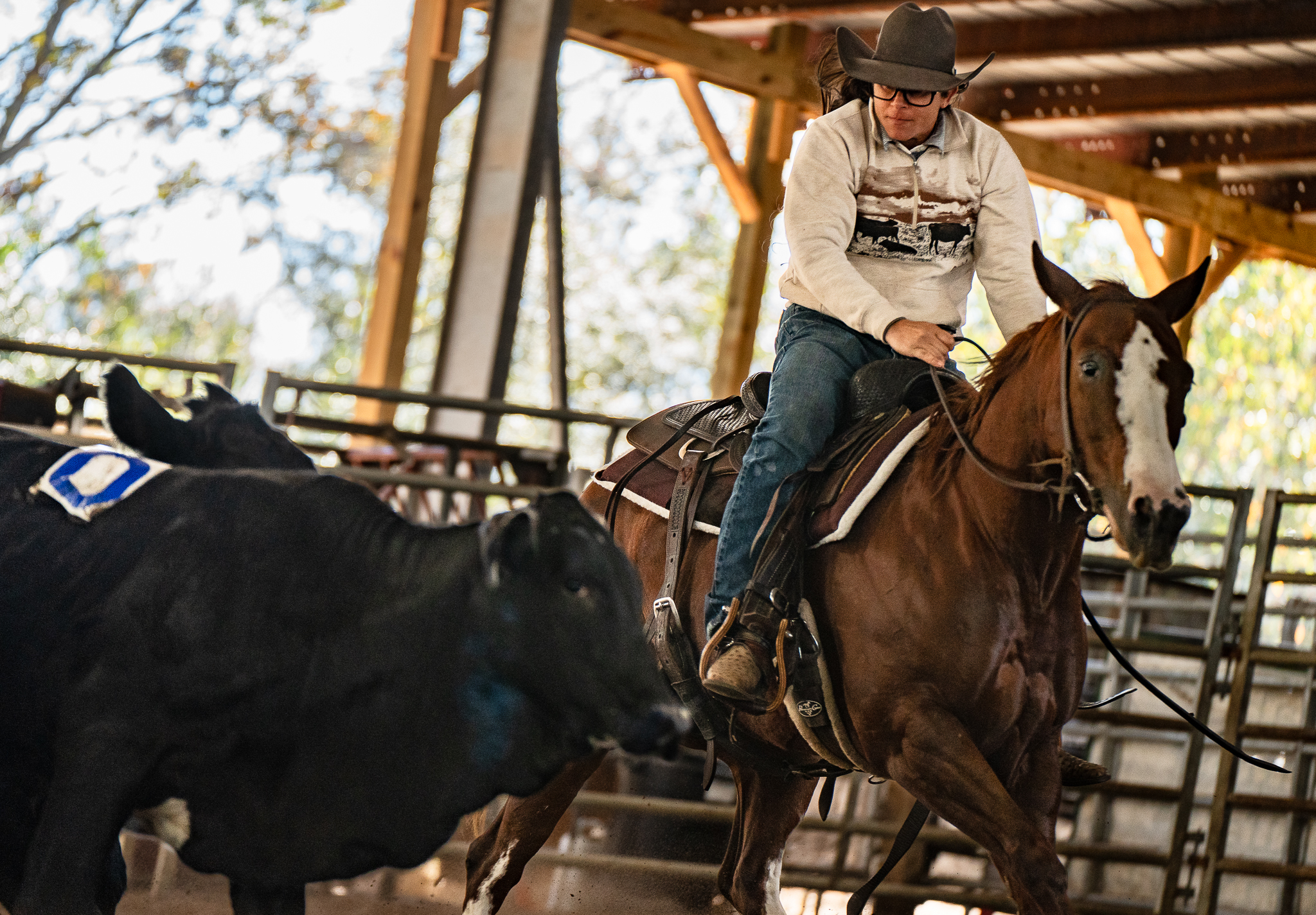 Southern Ranch Sorting - Sarah Foti About me: Extremely outgoing, has a ...