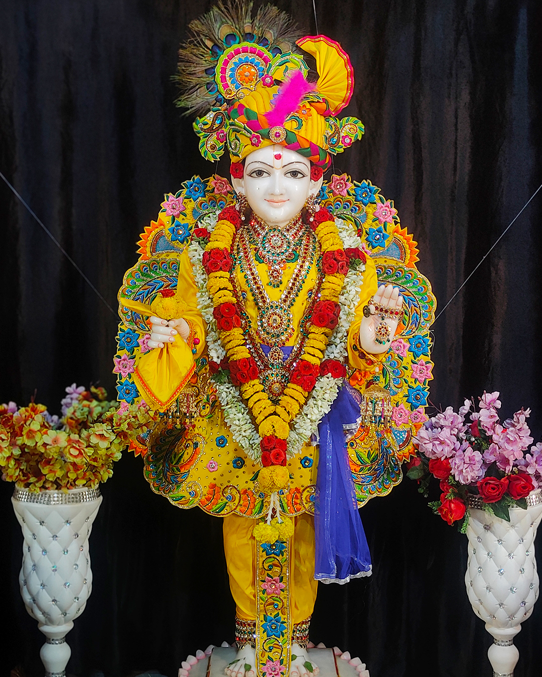 Shree Swaminarayan Gurukul Organization