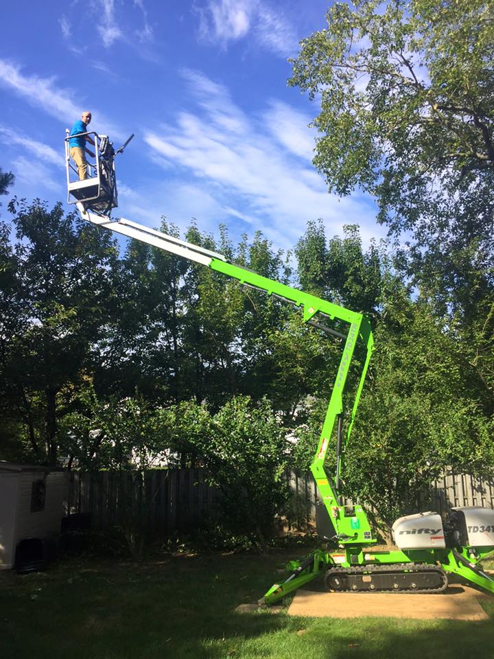 Cooks Tree Service inc. | Lincroft NJ
