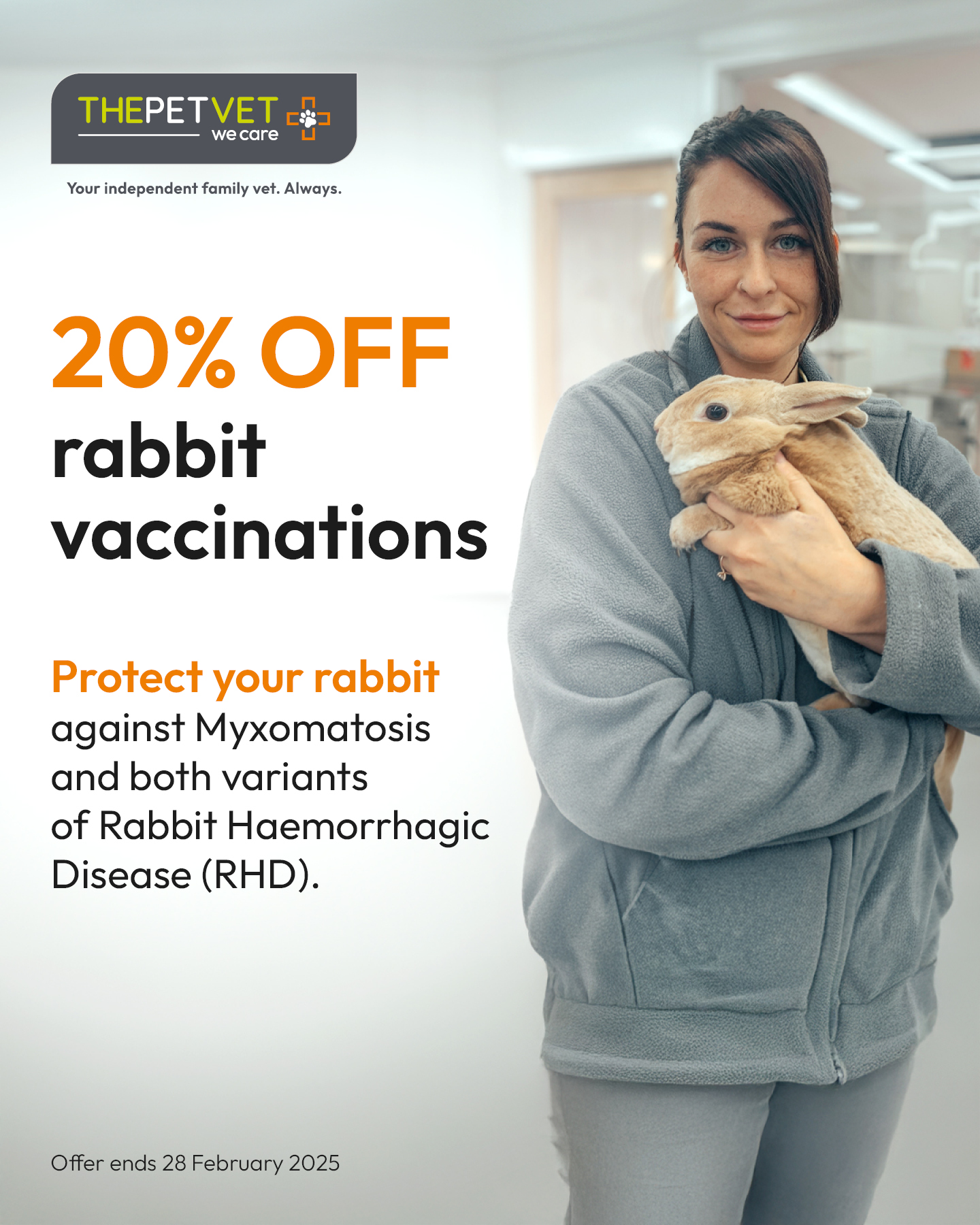 The Pet - Calling all bunny lovers! Take advantage of this limited-time ...