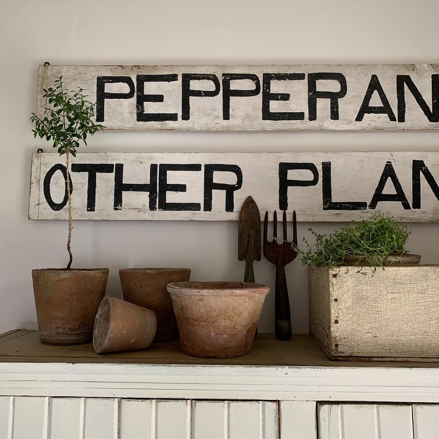 1871 - Don’t you just love vintage garden signs…I remember finding ...