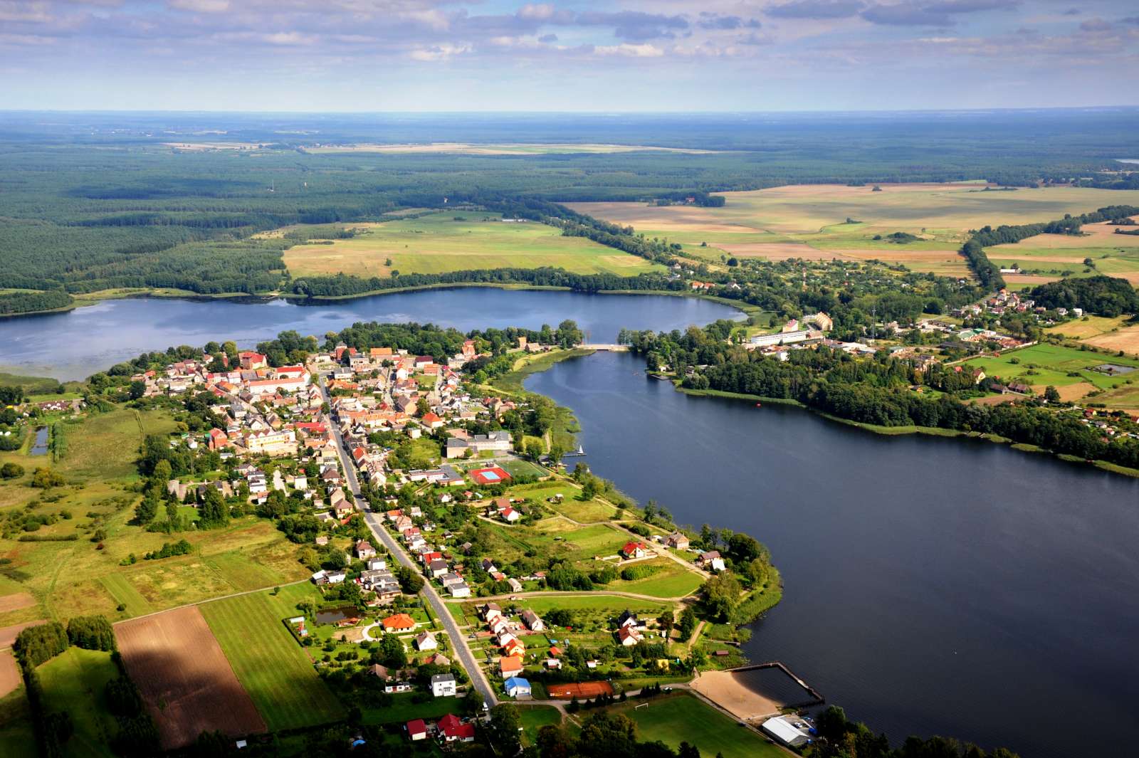 zdrowa-gmina-nasza-przysz-o-poznajcie-bielika-zwyczajnego