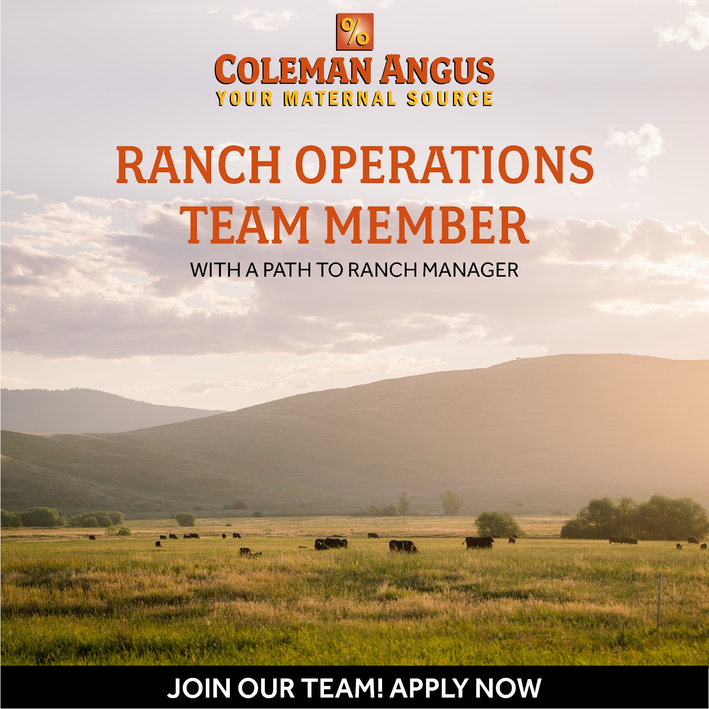 Coleman - ‼️ WE ARE HIRING ‼️ Position: Ranch Operations Team Member ...