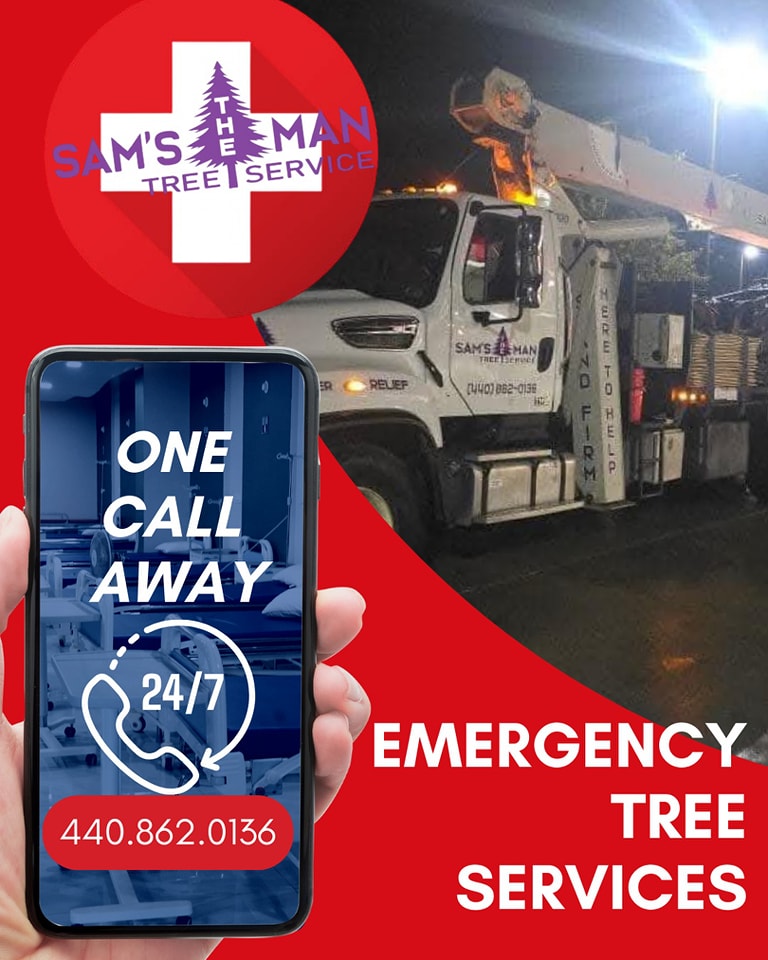 Sam’s The Man Tree Service | Brunswick OH