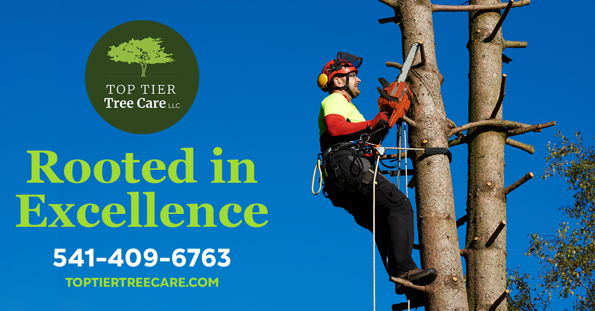 Top Tier Tree Care LLC | Jefferson OR