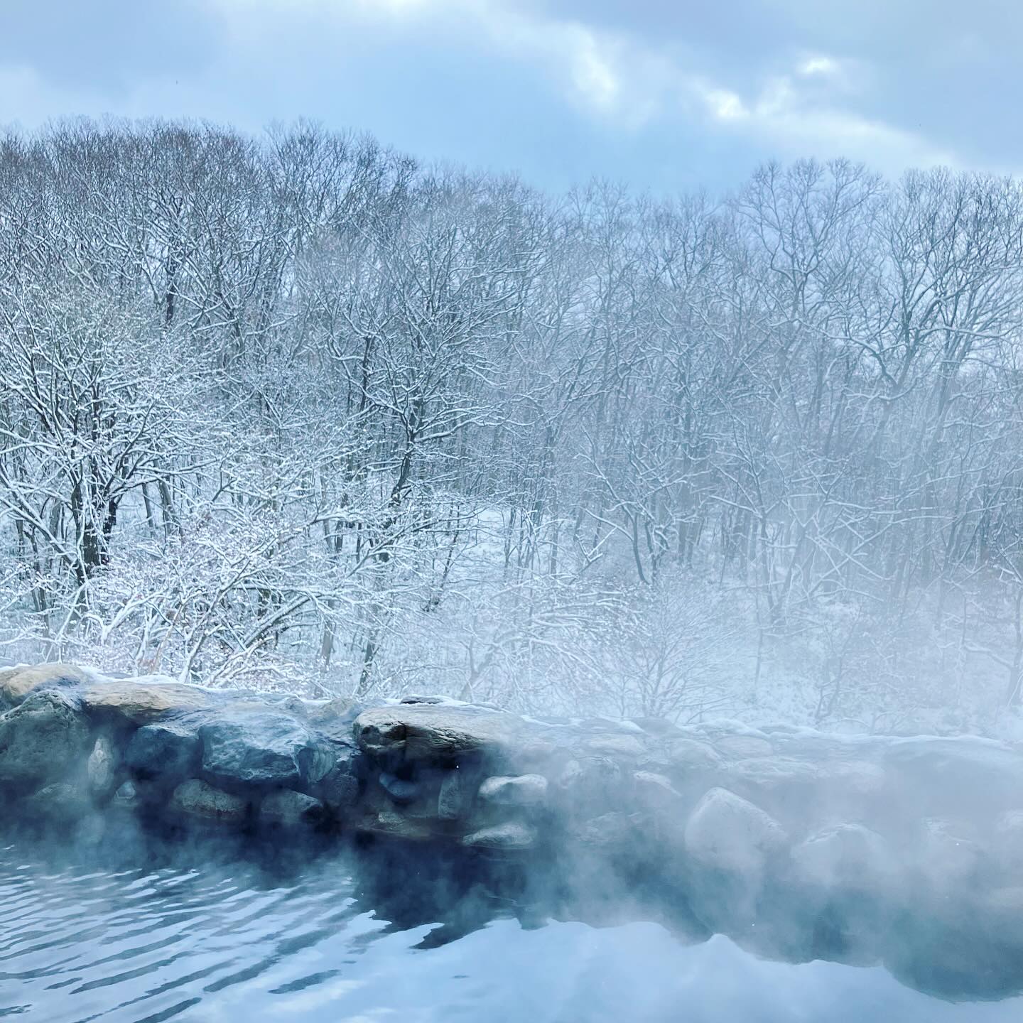里 の 森 天然 温泉 森 の ゆ