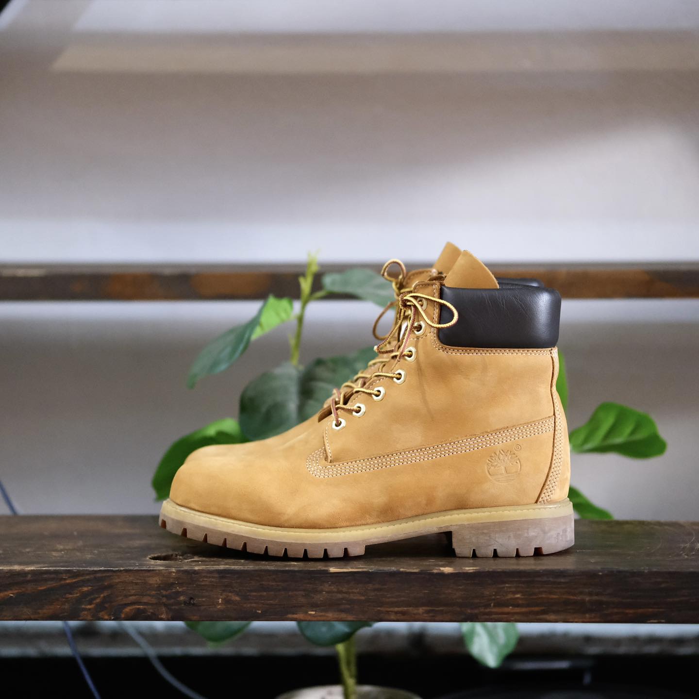 Timberland 2hand OriginaI VN | Ho Chi Minh City