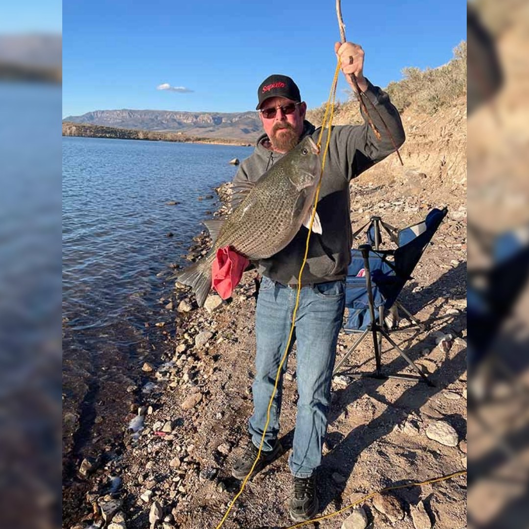 ugly stik elite casting rod 7' Shakespeare Rods – White Water Outfitters Model:RVR 4/5 100g 120g HDPE Fishing The Ugly Stik Elite 9-10ft