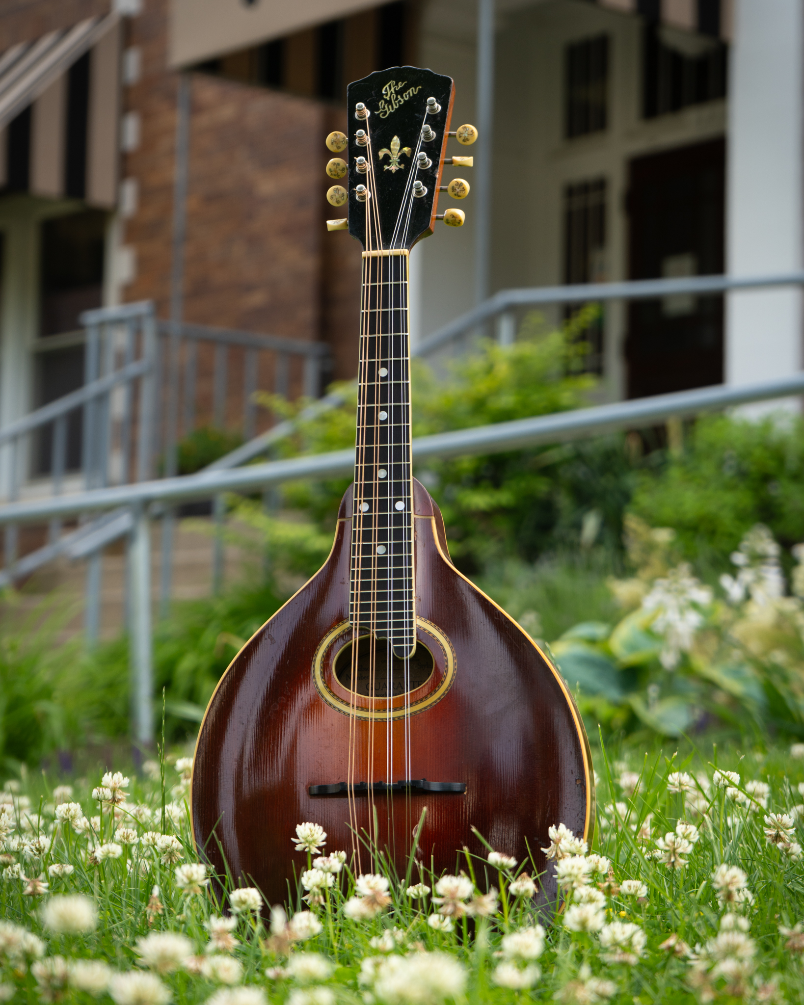 Gibson A-40 mandolin from the 1960s