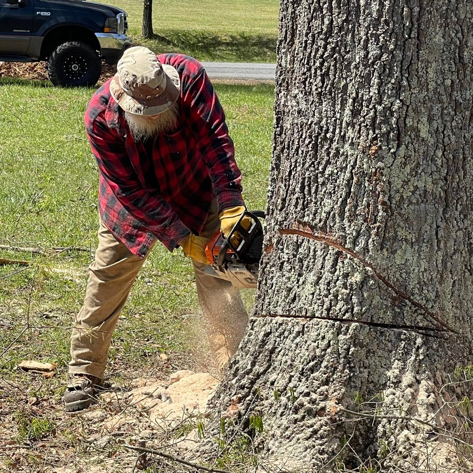 Fire hydrant nap for tree. @cnyfarmsupply #husqvarnachainsaws # ...