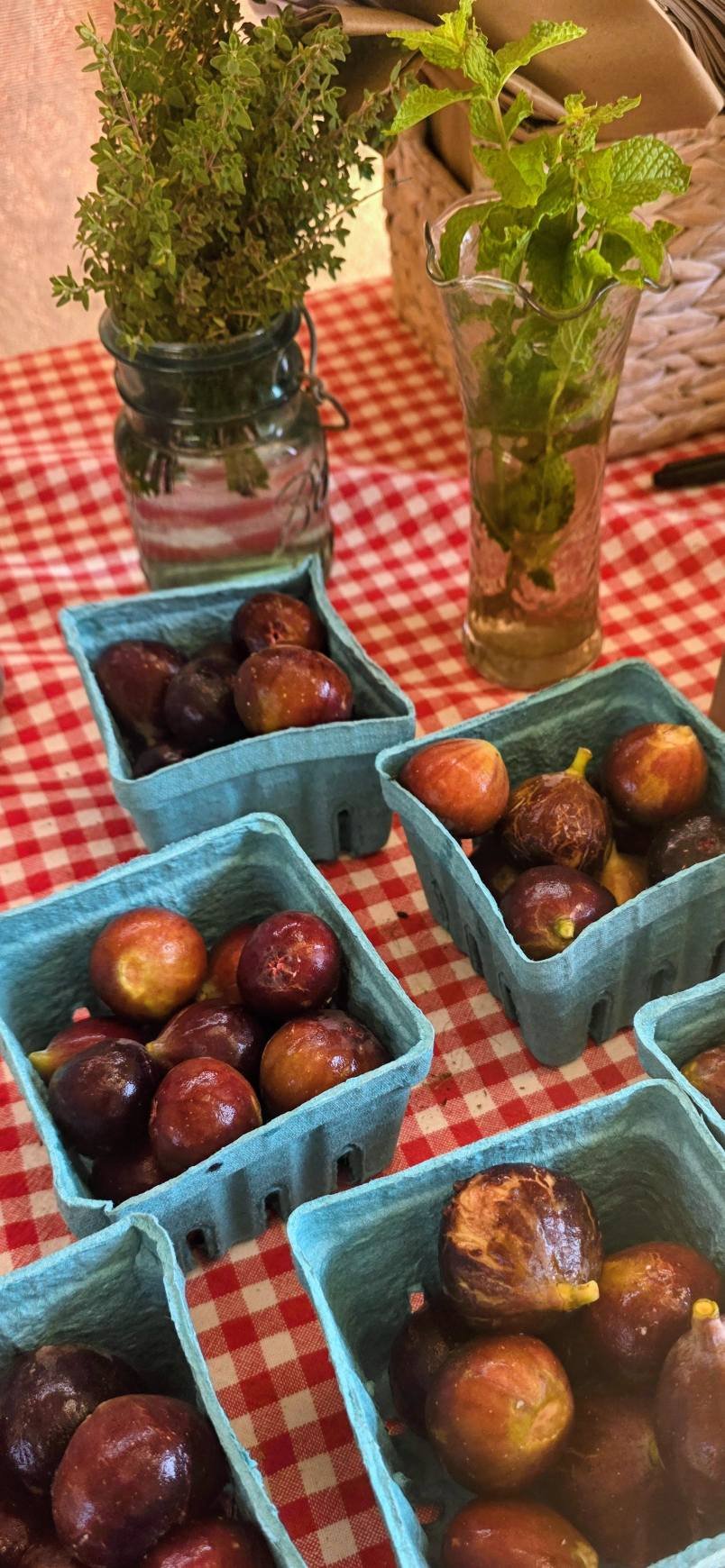 Cooper Brothers Market Garden | Erma NJ