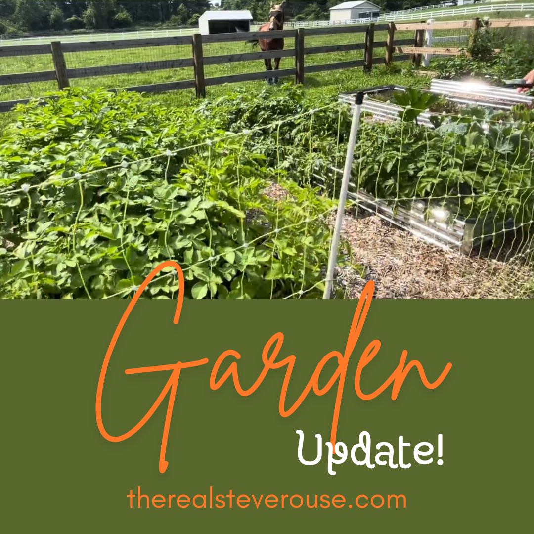 Here's an update on the progress of... - The Real Steve Rouse | Facebook