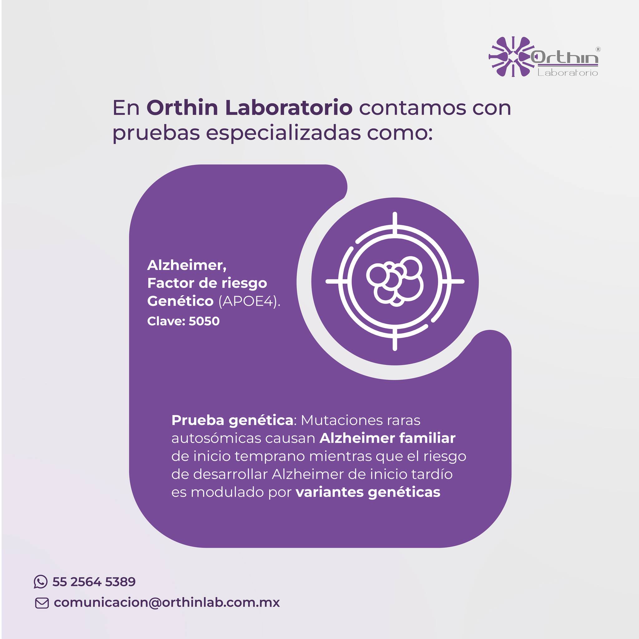 Orthin Lab