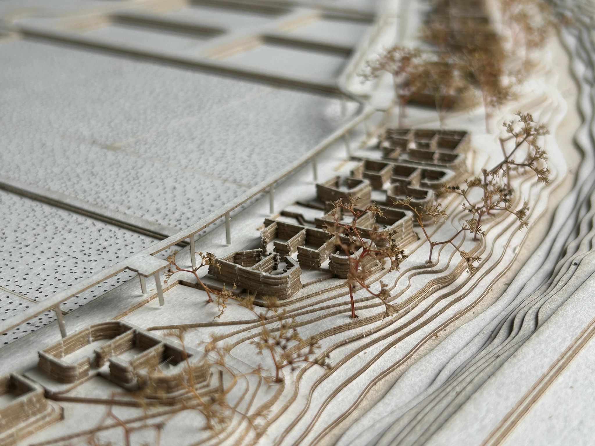 Leicestershire and Rutland Society of Architects | Leicester