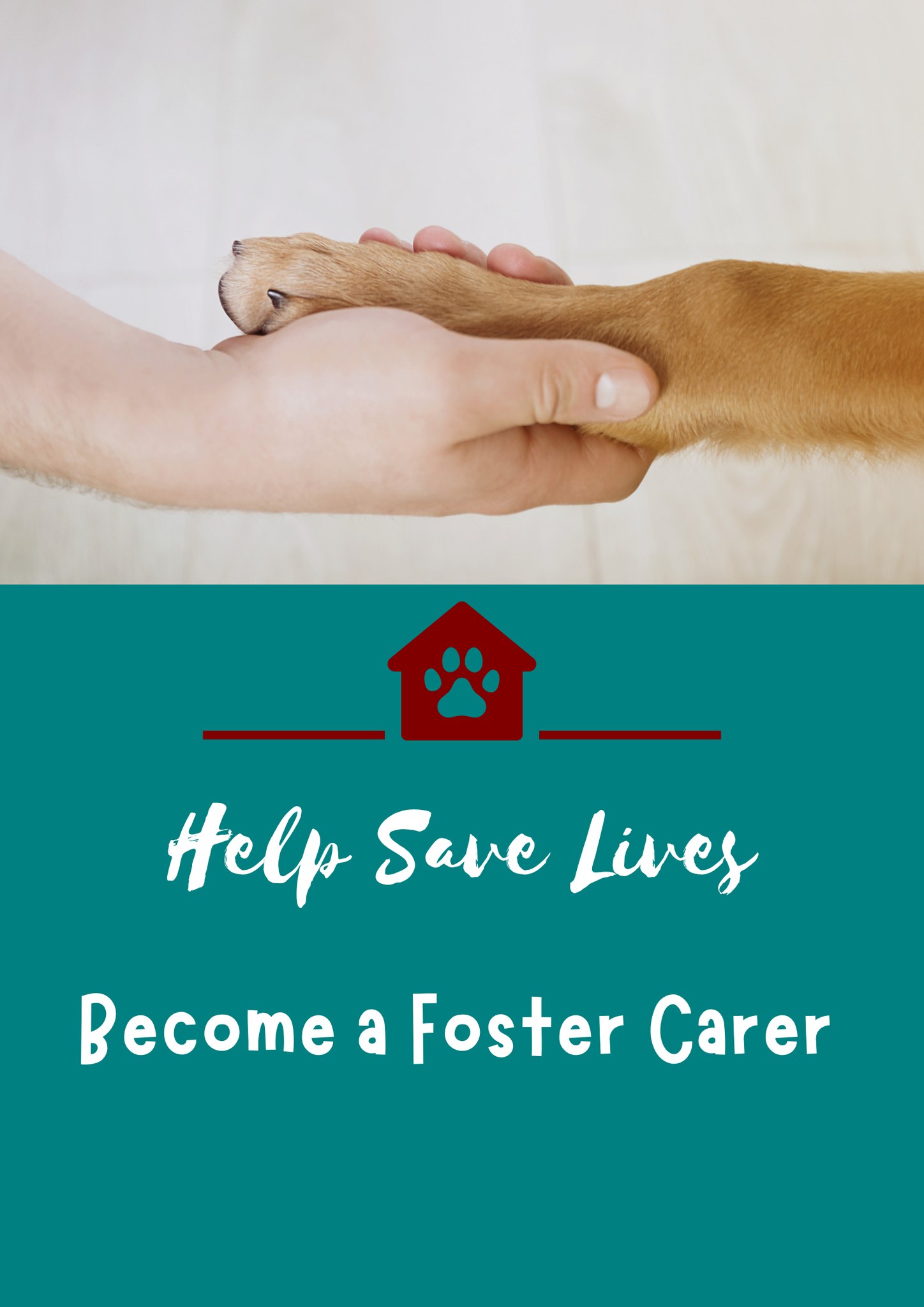 Bowen - 🐾We DESPERATELY need FOSTER CARERS 🐾 We don't have a physical ...